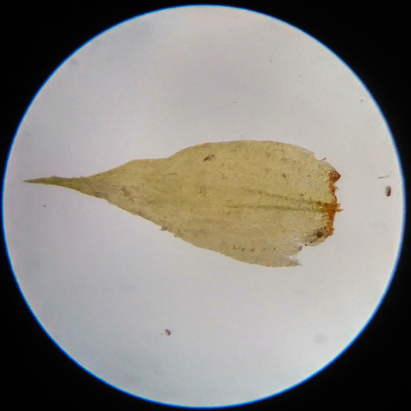 IMG 20250617 111855 HDR