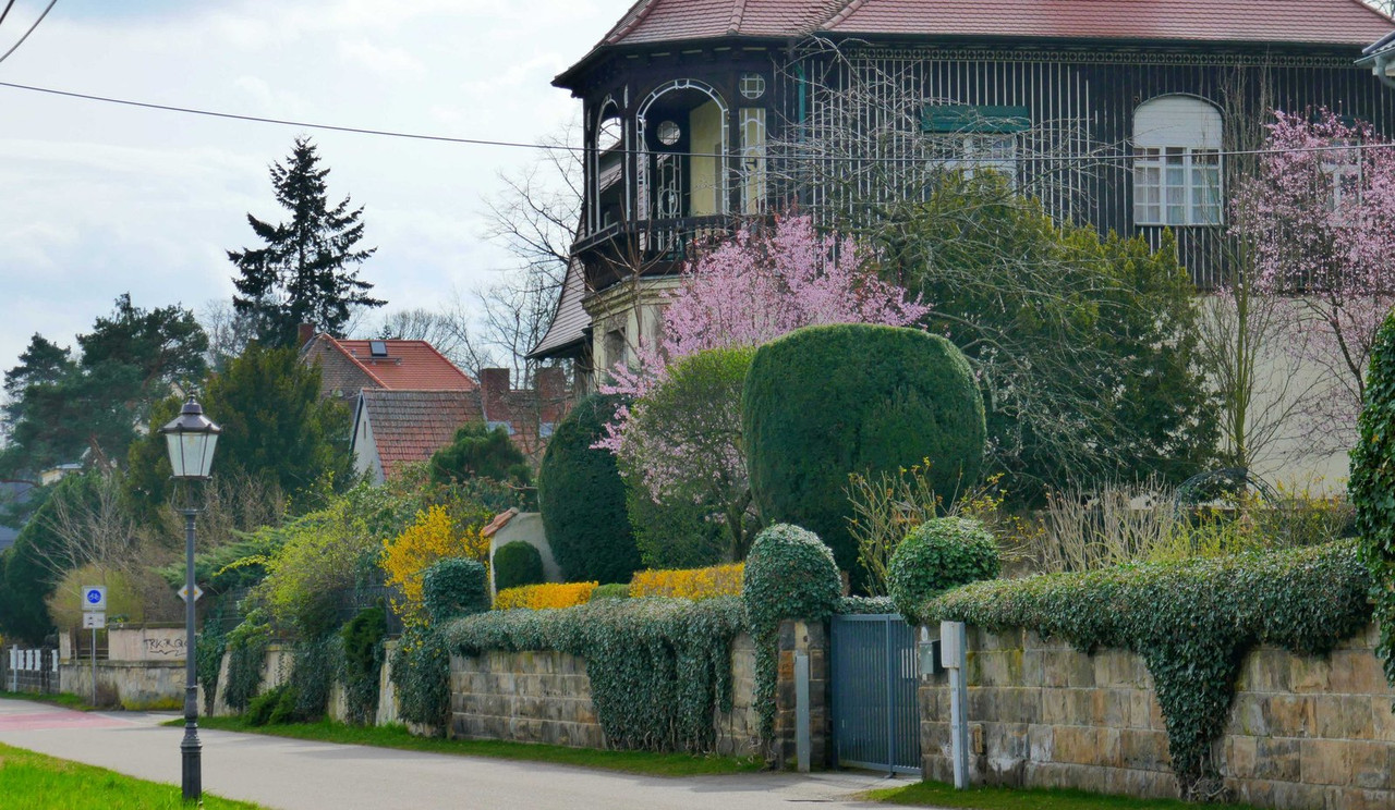 P1180733.jpg