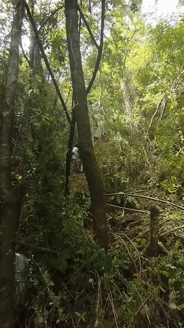 Caida-en-Lanco-Chile-chile-shorts-viral-bicicleta-bike-downhill-enduro-fail-bikelover-1.gif