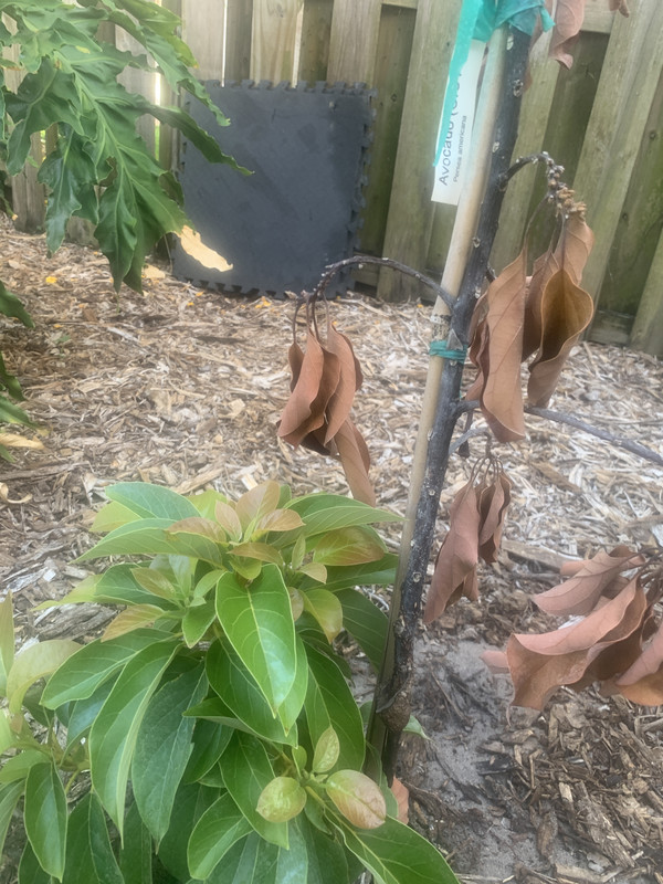 AC04AA10-BC7A-4F7A-88D6-7720E0EDE03A