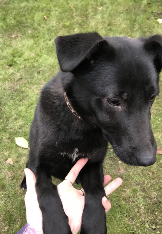 3468AF82-2DA3-4928-AF08-1315CBEDA330