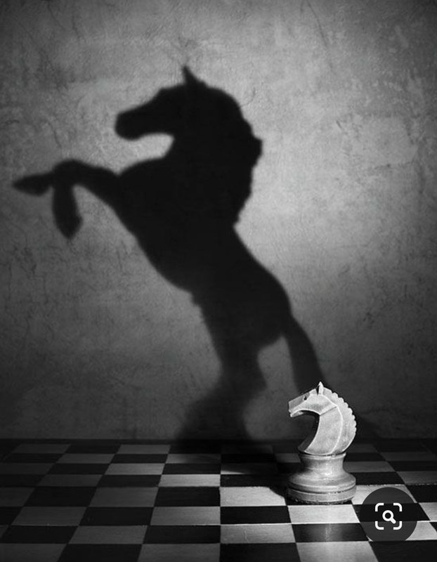 Screenshot_20231025_160709_Pinterest