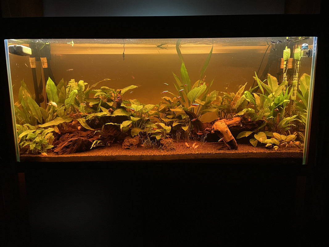 025B42CF-5B07-4A29-BDF4-CB317E73AB0C