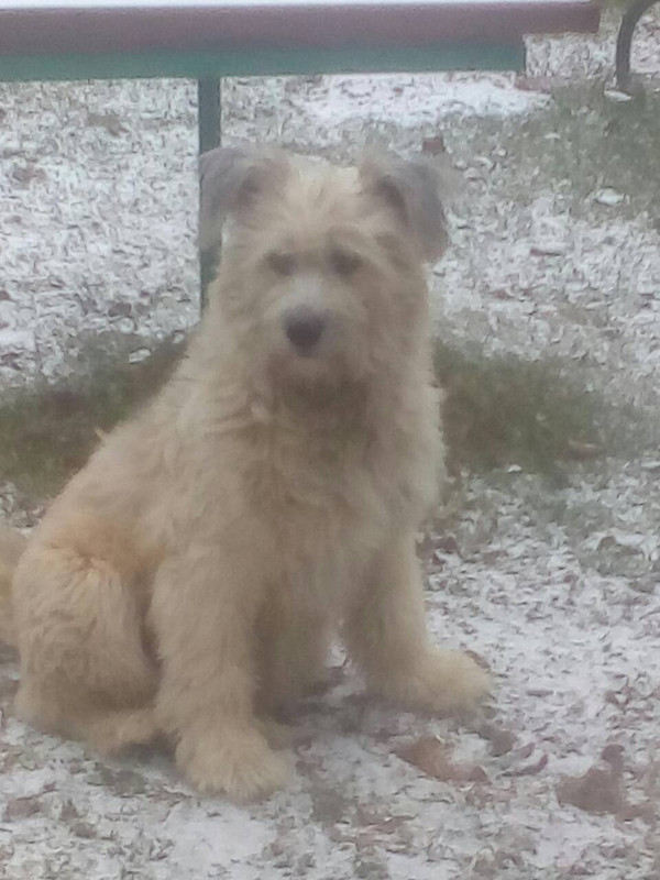 IMG-0120273693dcd632b3d9337a705db380-V