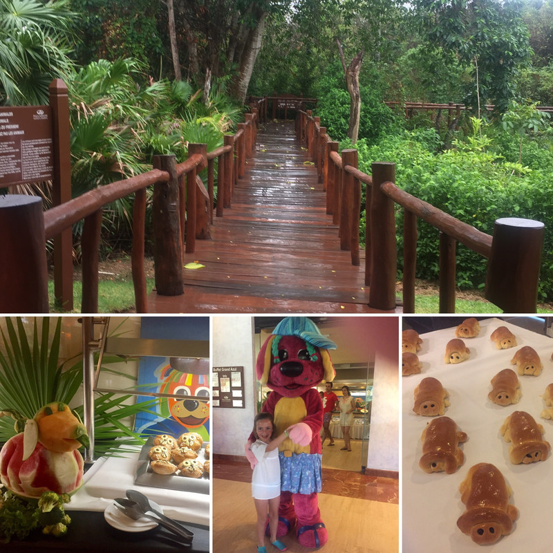 4663375C-497B-4095-B5A6-ED3858E10B2F