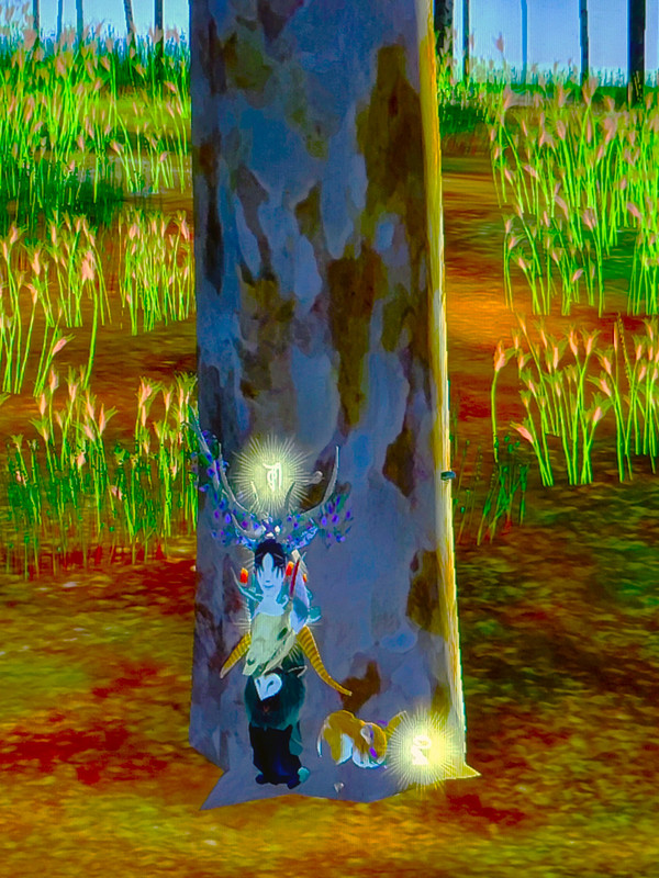 20250713-003239