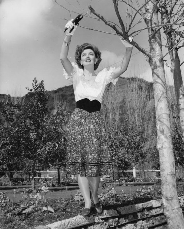 myrna_loy_mc20