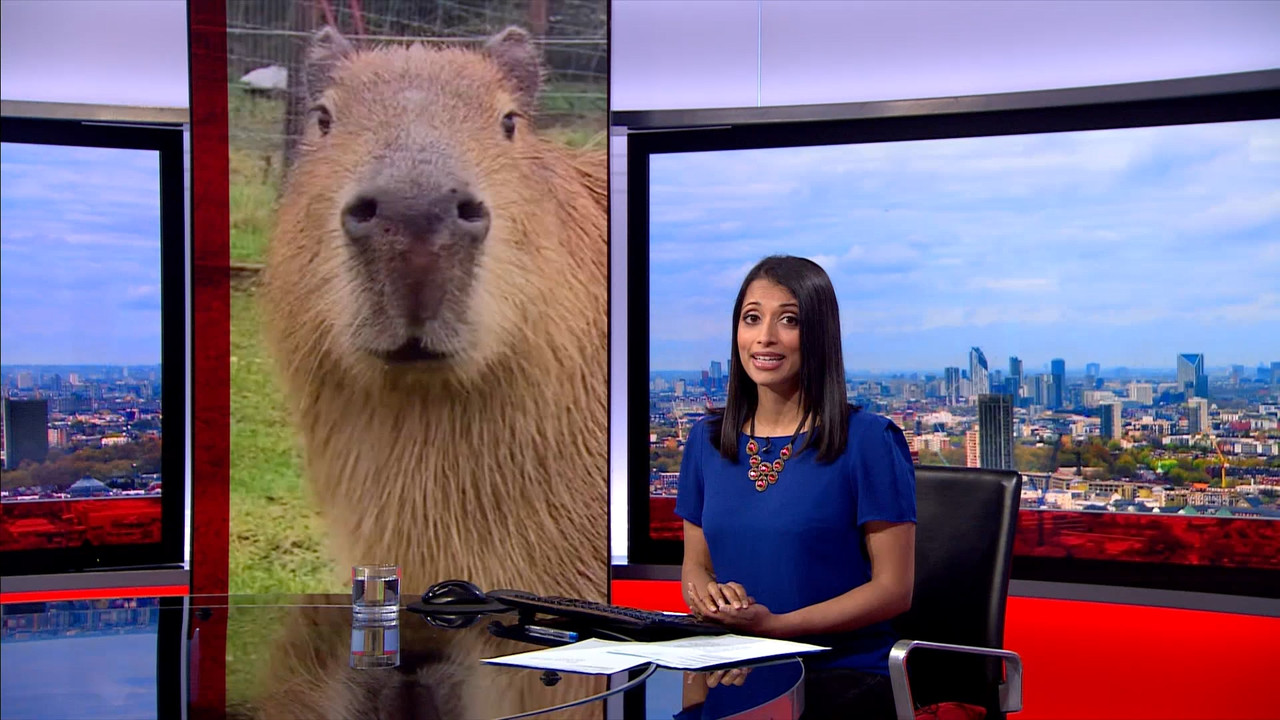 BBC London News_20230410_18501900.ts_snapshot_09.17.393