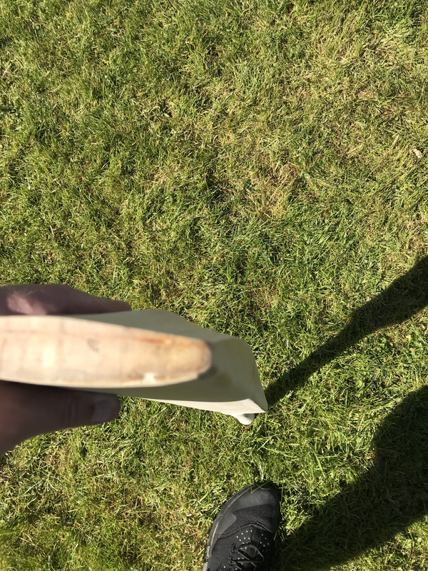 83B8368B-A5A6-42FF-AF50-C2C0D5D02E7B