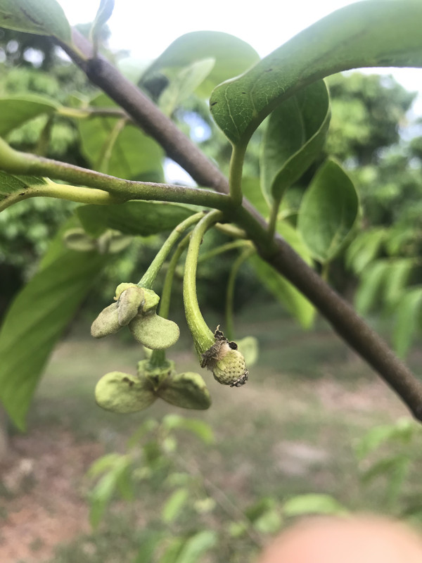 7D57997B-A9FA-405F-933C-96FEECAE148B