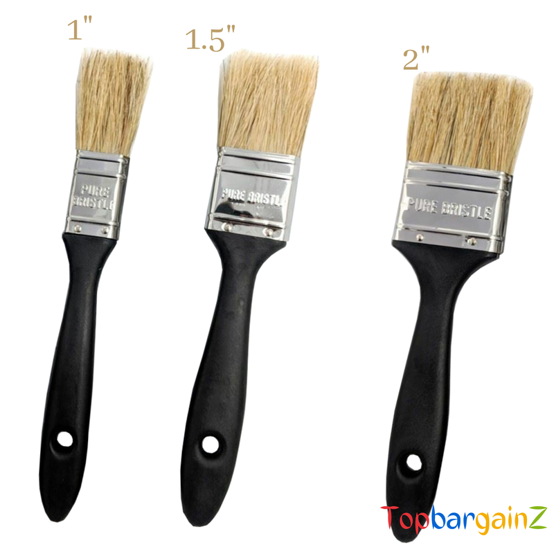 Harris Paint Brush Set Pure Bristle Wood Stain Varnish Brushes Painter