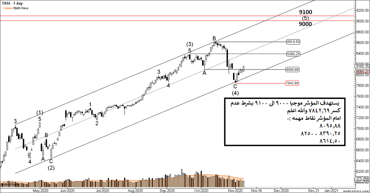 TASI - Primary Analysis - Nov-08 1819 PM (1 day)