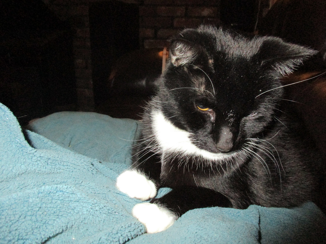 IMG 0544 — Postimages