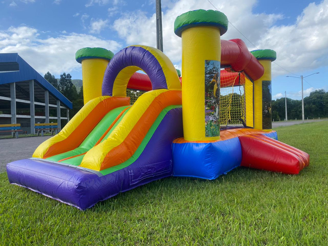 Pula-Pula com Escorrega Madagascar - Foto 1