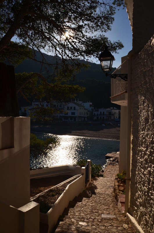 CALA SA TUNA Y SEA POOL-21-11-2017 - Gerona y sus pueblos-2016/2017 (20)