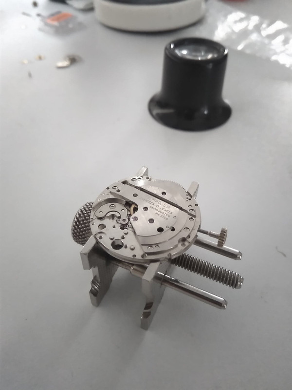 67835401_501373120686037_1215288875035918336_n