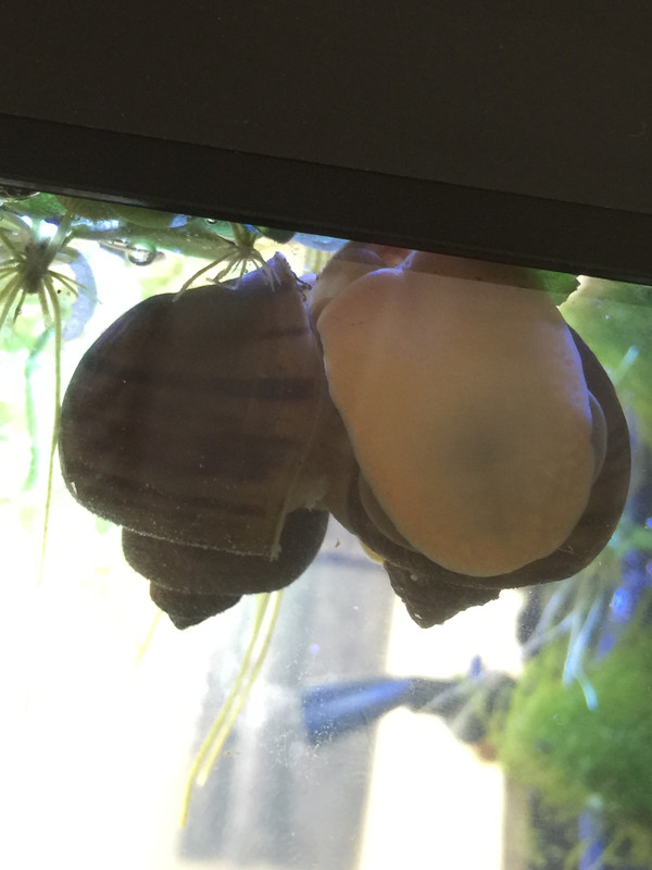 FF77C633-336A-49EE-89CB-3AF2C658E57B