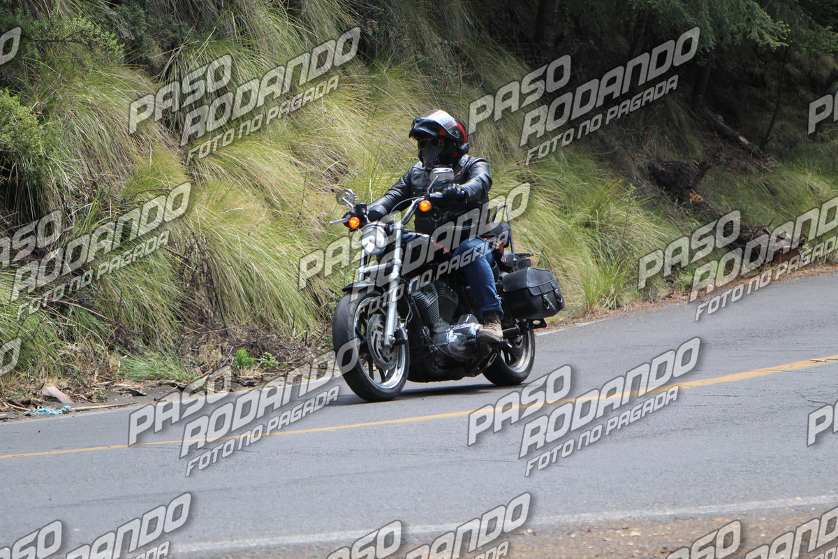 IMG 0757 wm 2154217 7 watermarked — Postimages