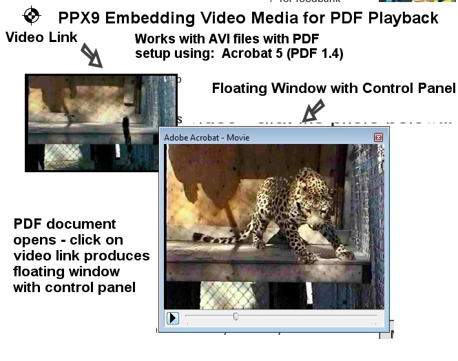 PPX9 Video Playback in PDF