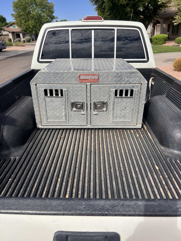 received_3853988101490063