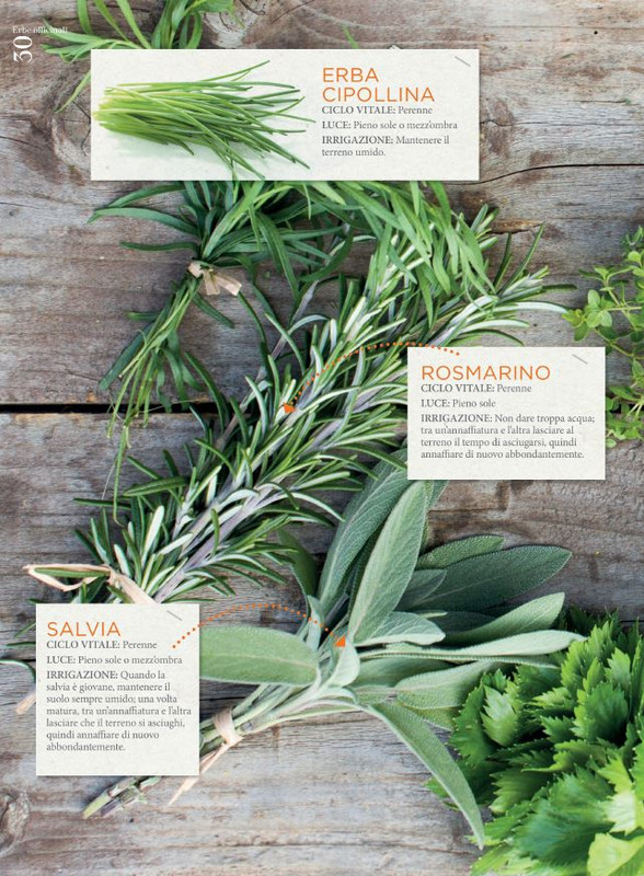 guS - Giugno 2022 (11)