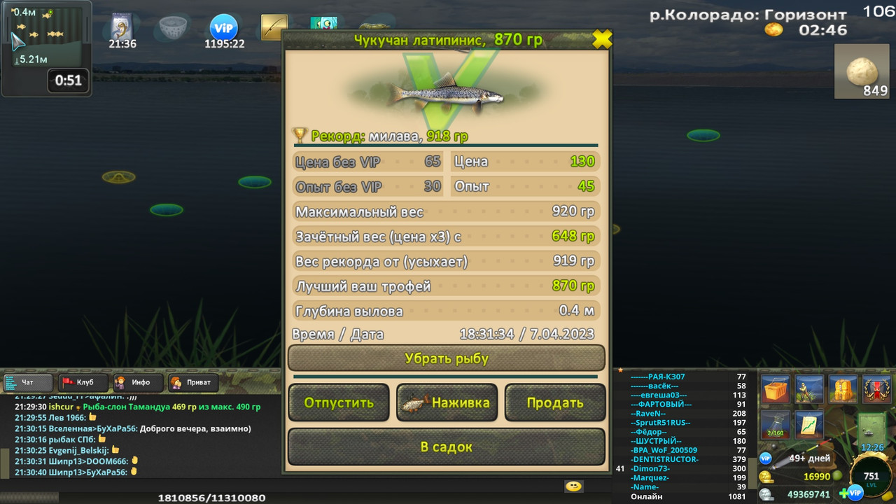 Чукучан латипинис - Охотник 15