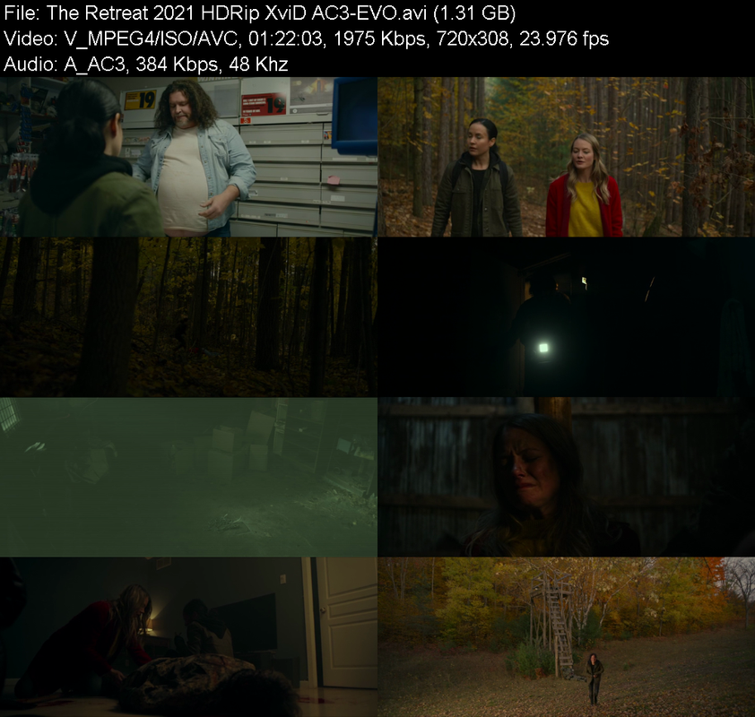 the-retreat-2021-hdrip-xvid-ac3-evo.png