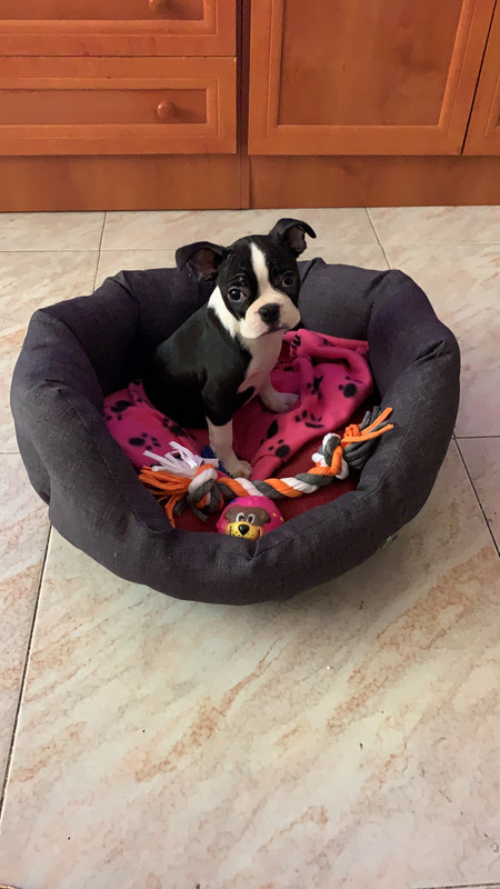 D94FA8FE-6237-423F-BC54-D8259908AD0E