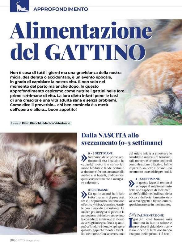 Ga Ma Ago-Set 2023 (3)