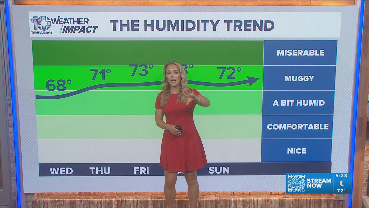 05 06 10 00 00 10 Tampa Bay News This Morning at 5 00 a m The AM ts snapshot 24 14 077