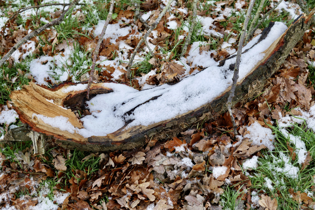 3399488F-F74F-4E08-809E-6051D3C11148