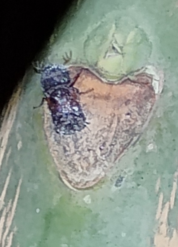 IMG 20260218 193007421 2