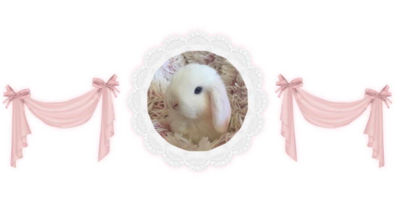 bunny