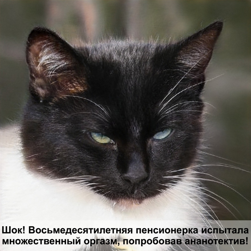 кошки тигровый окрас означает