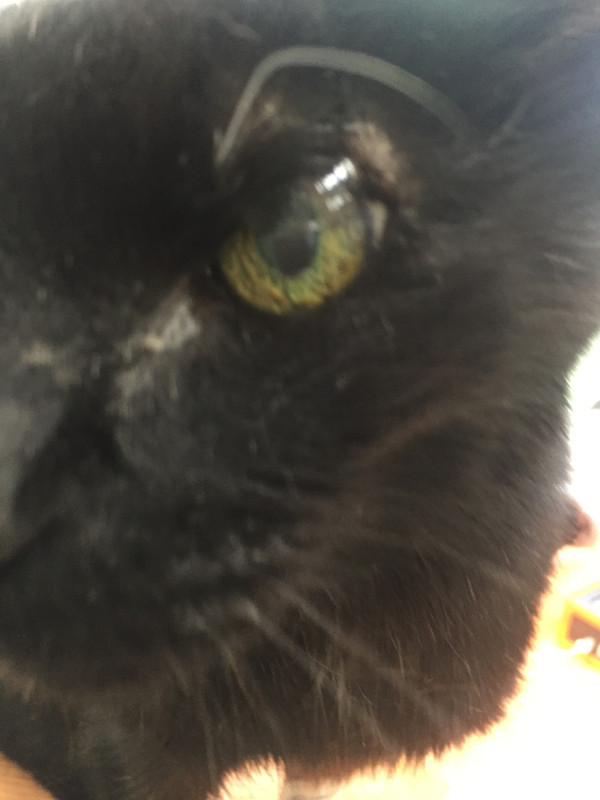 05E1EAE8-AD09-4D76-8BAB-AA57EB027A6A