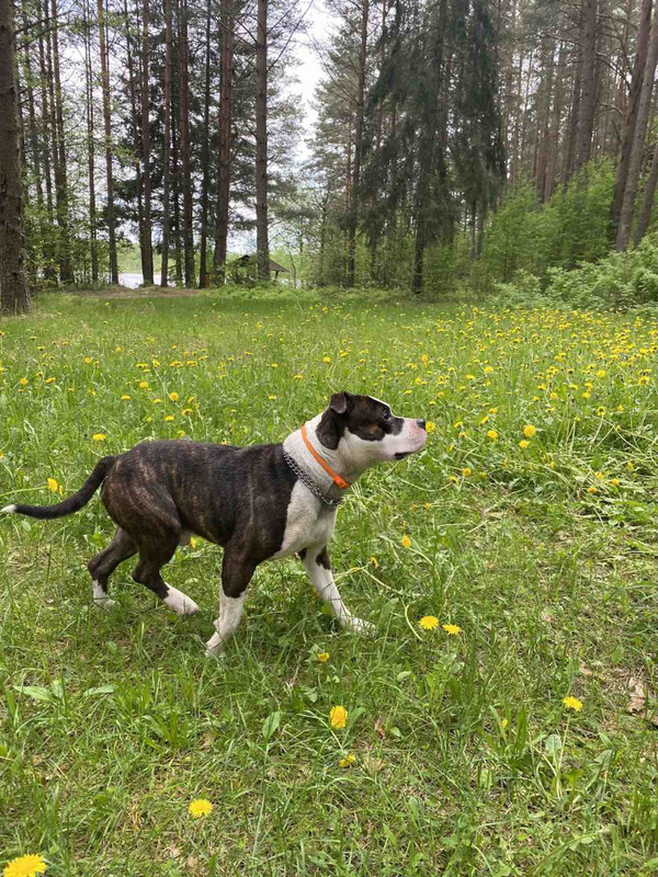 61B04082-9C24-4A80-AF23-C0968E468C8F