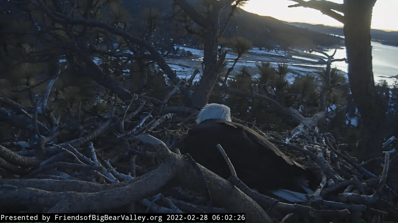 Webp.net-gifmaker (3)