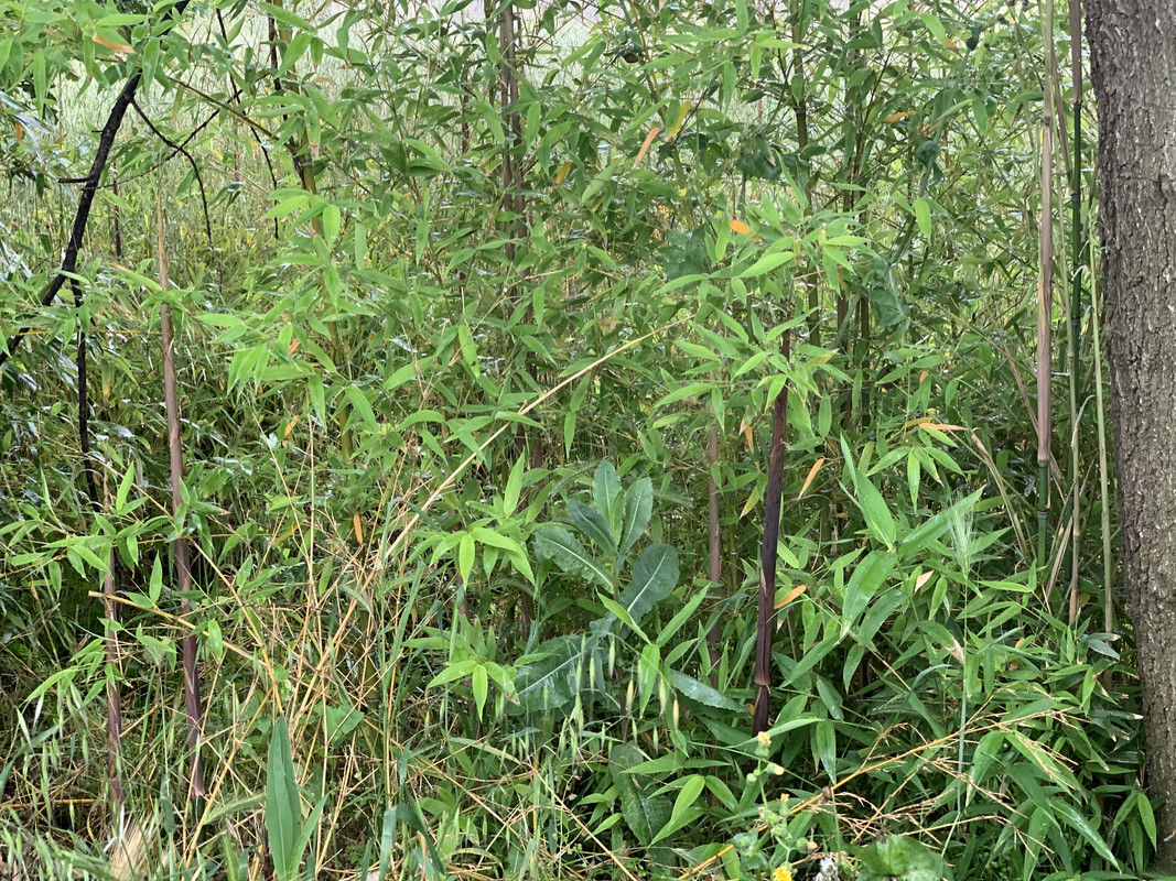 092B3D51-7CC6-4B12-A131-8EB0C4127B5D