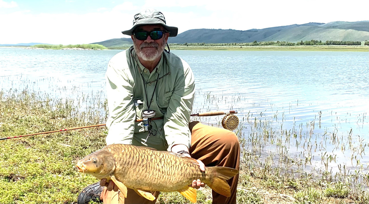carp