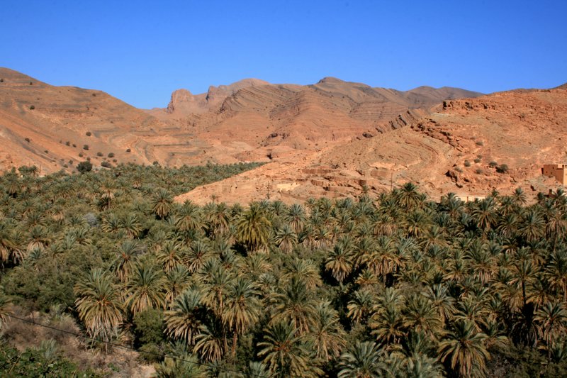 TAFRAOUTE. EL MARRUECOS PERDIDO, Ruta-Marruecos (13)