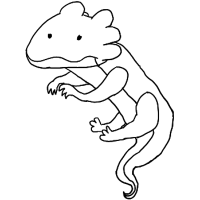 Salamander base Minecraft Skin