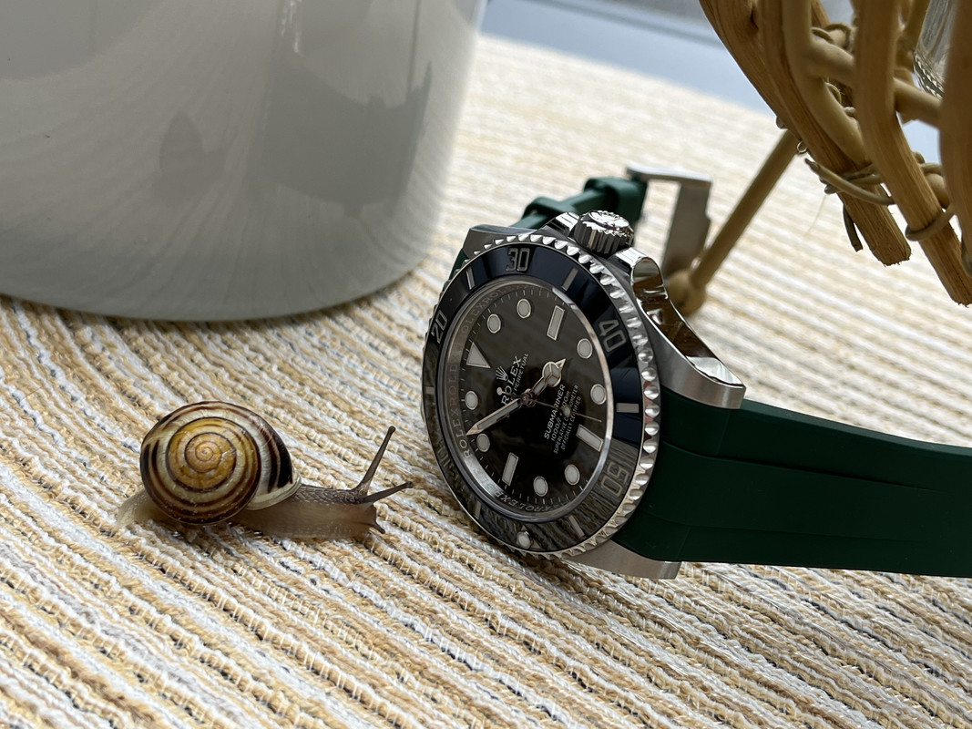 293540FB-7DEE-4BCE-88F0-2FB1413B8B06