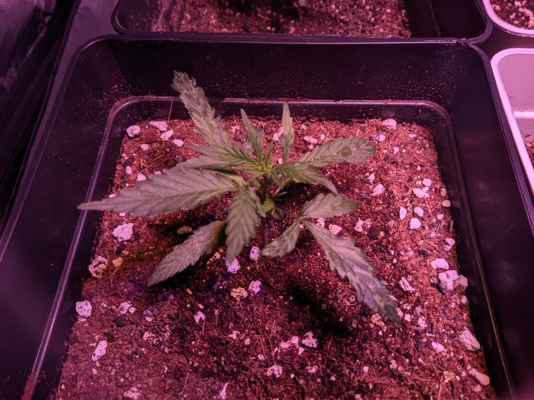 PXL_20210907_171705421