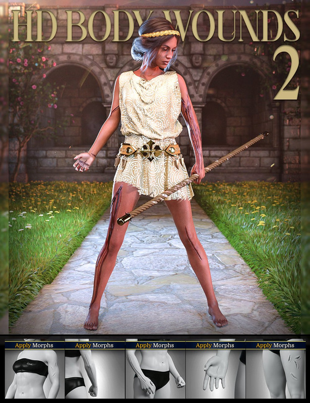 Body Wounds HD Morphs 2 for Genesis 8 Females Body Wounds HD Morphs 2 for Genesis 8 Females
