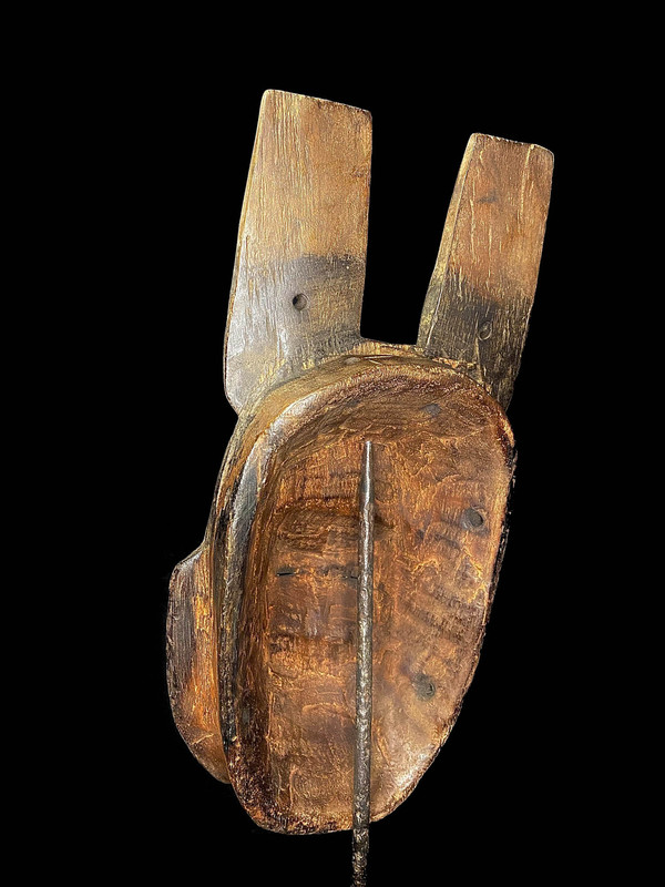 large image 10