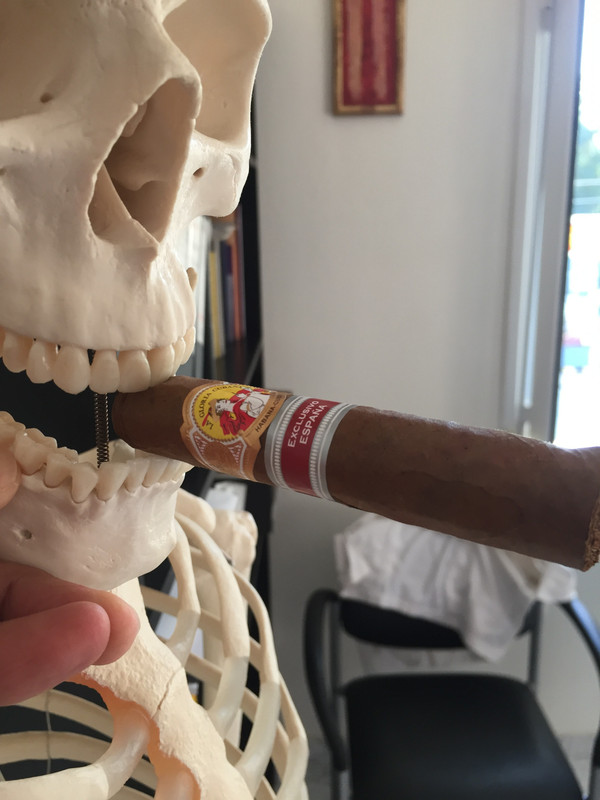 135DFE48-C631-4916-99E0-6706D5E84251