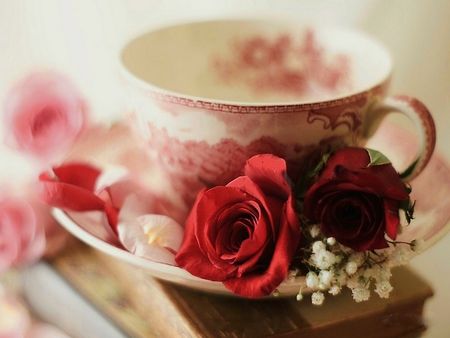 273049-Teacup-Roses.jpg