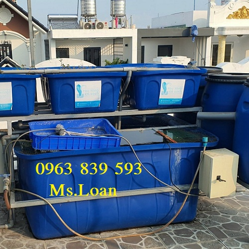 thung-nuoi-ca-trong-cay-aquaponic.jpg