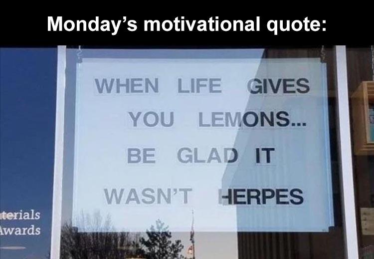 lemons_better_than_herpes.jpg
