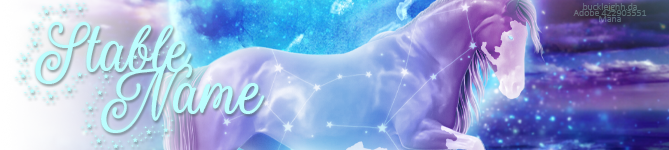Constellations-BANNER